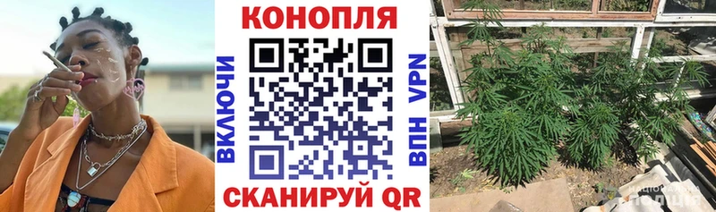 Названия наркотиков Железногорск NBOMe APVP Меф ГАШ