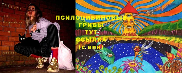 2c-b Алексин