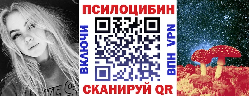Галлюциногенные грибы Psilocybine cubensis Железногорск