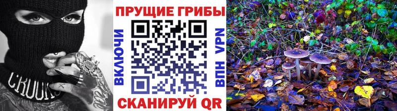Галлюциногенные грибы GOLDEN TEACHER  ссылка на мегу ONION  Железногорск 